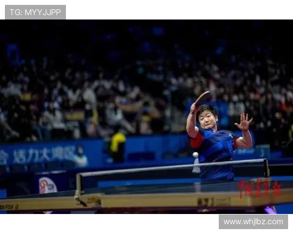 全国赛场群星闪耀推动体育精神全面升温再创佳绩风采尽显荣耀时刻 全国赛场群星闪耀推动体育精神全面升温再创佳绩风采尽显荣耀时刻